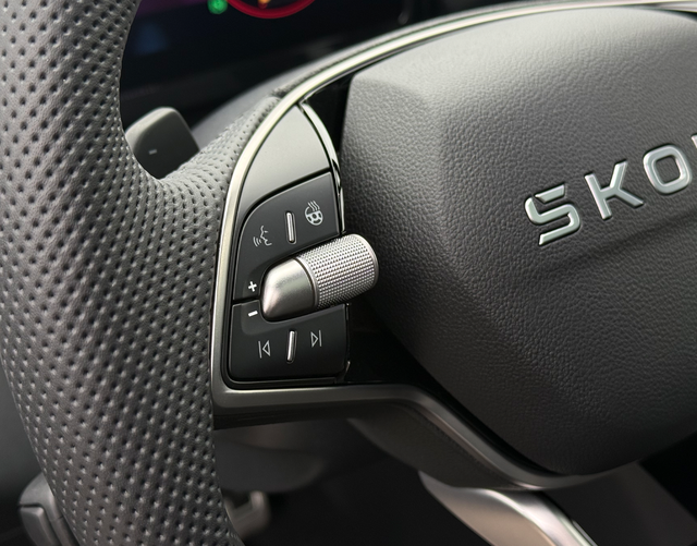 Multifunktionslenkrad Skoda Kodiaq SPORTLINE 2.0 TDI 142 kW 4x4 DSG