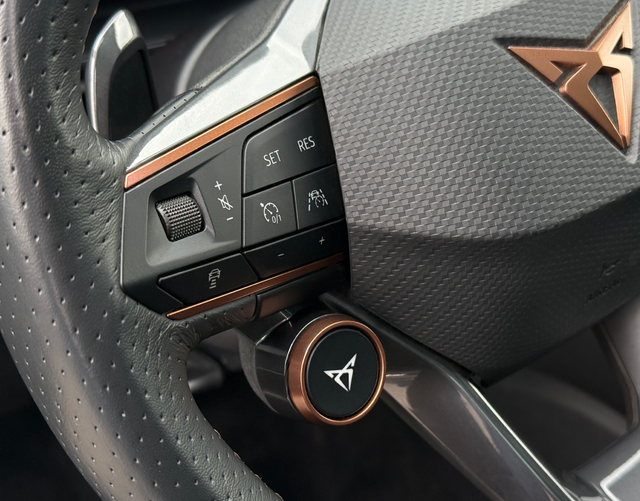 Multifunktionslenkrad Cupra Formentor VZ "25th Anniversary" 2.0 TSI 4Drive 310 PS DSG 