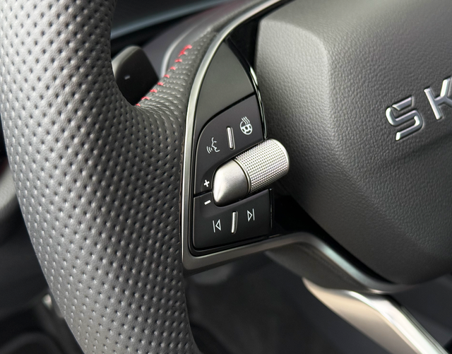 Multifunktionslenkrad Skoda Octavia Combi RS 2.0 TSI 265 DSG