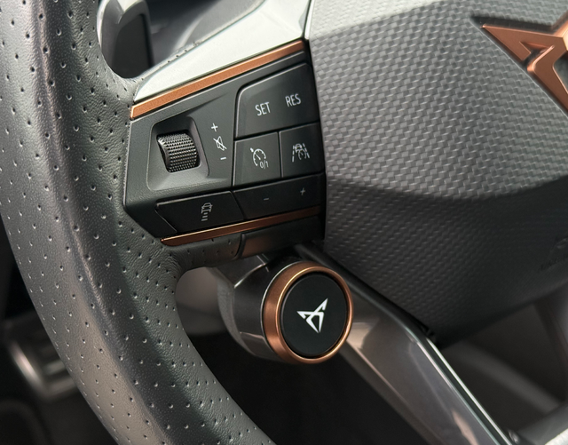 Multifunktionslenkrad Cupra Leon Sportstourer VZ NAVI WINTER "25th Anniversary" 2.0 TSI