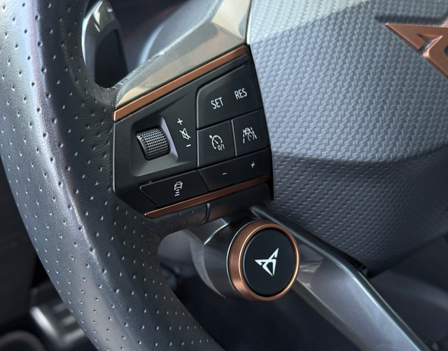 Multifunktionslenkrad Cupra Formentor VZ5 2.5 TSI DSG 