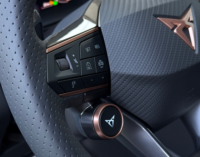 Multifunktionslenkrad Cupra Terramar VZ 2.0 TSI 195kW DSG 4Drive 