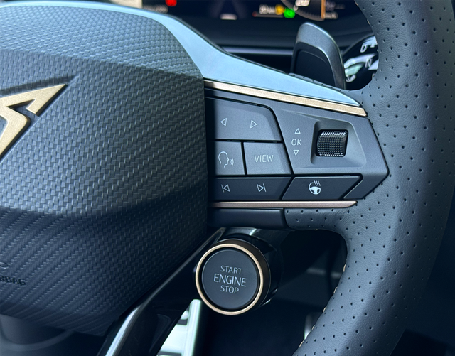 Multifunktionslenkrad Cupra Terramar VZ 2.0 TSI 195kW DSG 4Drive 