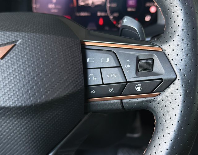 Multifunktionslenkrad Cupra Leon Sportstourer