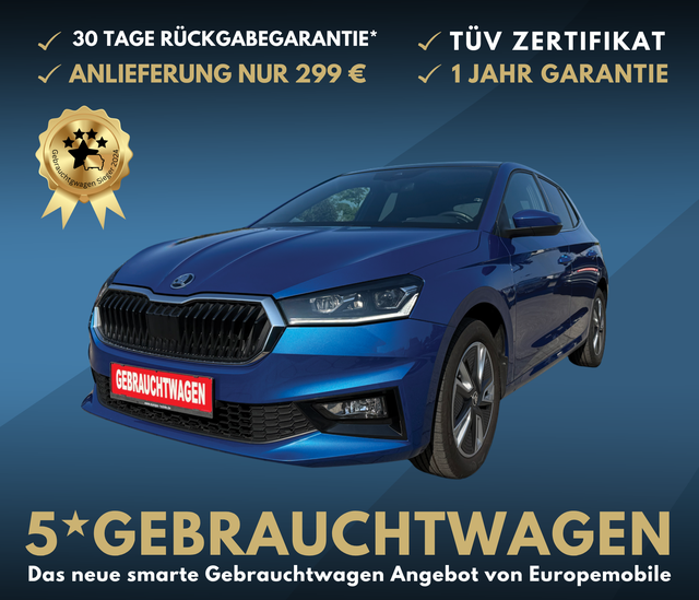 Skoda Fabia - Style (D4) 1.0 TSI 110 DYNAMIC|NAV|KAM|VIRTU|PANO|LED|16