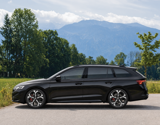 Fahrerseite Skoda Octavia Combi RS 2.0 TSI DSG