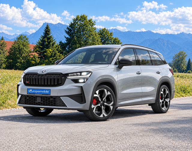 Skoda Kodiaq - H12 RS 2.0 TSI 195kW 4x4 DSG (Vorlauf) 7-SITZE/PANO/MATRIX/TRAILER/WINTER/360/5J.GARANTIE/CANTON/UVM.