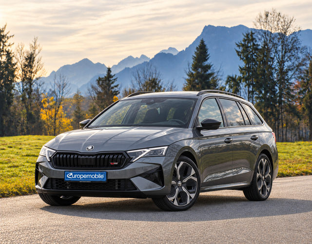 Skoda Octavia Combi - H6 RS 2.0 TSI 195kW DSG (Lager) 19