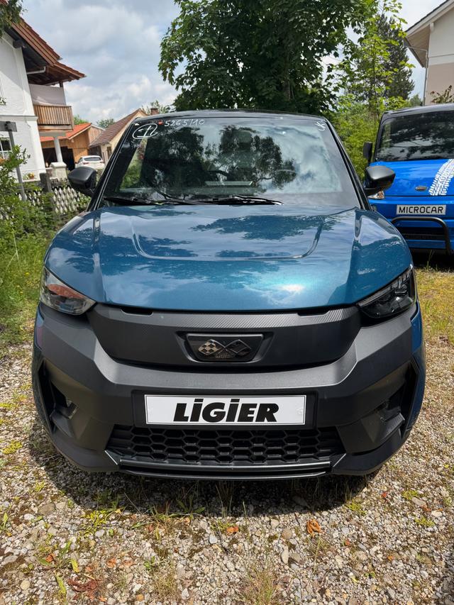 Ligier JS 50 Elite Revo D+ Trennwand, Fussmatten, Freisprecheinrichtung, Alu Auto ab 15! 