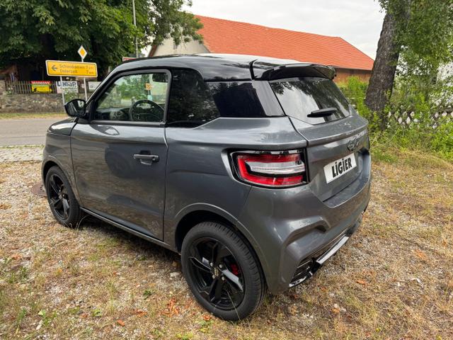 Ligier JS 50 Elite Revo D+ Trennwand, Fussmatten, Freisprecheinrichtung, Alu Auto ab 15! 