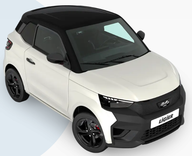 Ligier JS 50 Elite Revo D+ Trennwand, Fussmatten, Freisprecheinrichtung, Alu Auto ab 15! 