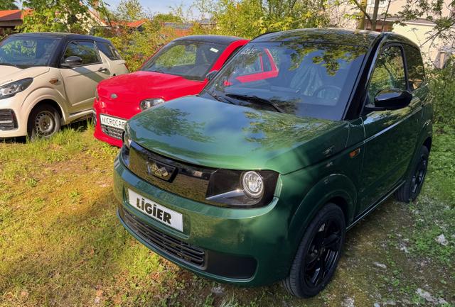 Ligier Myli E.Pick Revo D+, Trennwand, Pack Connect, Fu&szlig;matten AUTO ab 15! 