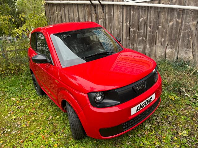 Ligier Myli - I.DEAL REVO D+ Trennwand, Fußmatten Auto ab 15!