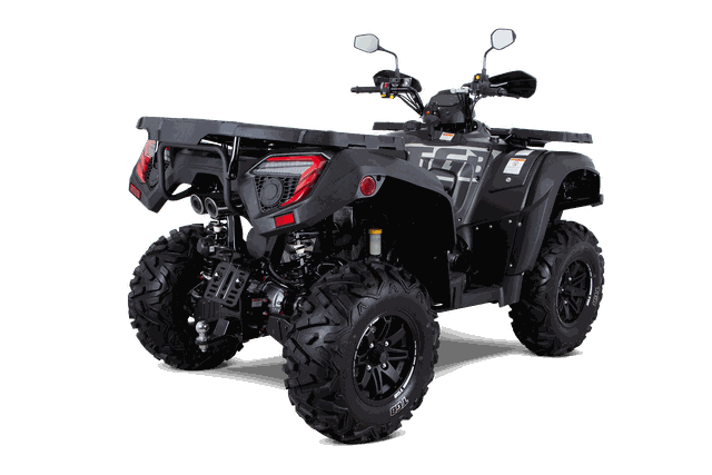 TGB Blade 560 EPS ABS, 4x4, AHK, Seilwinde, LED, EU-Zulassung 2 Pers. 4J. Garantie GRATIS! 