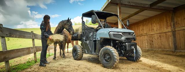 Polaris Ranger 500 - Dach, Seilwinde, LED Scheinwerfer, Alufelgen, Turfe Mode, mit Stra&szlig;enzulassung!
