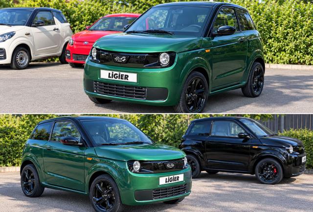 Ligier Myli - E.Pick Revo D+, Trennwand, Pack Connect, Fu&szlig;matten AUTO ab 15! AKTION!