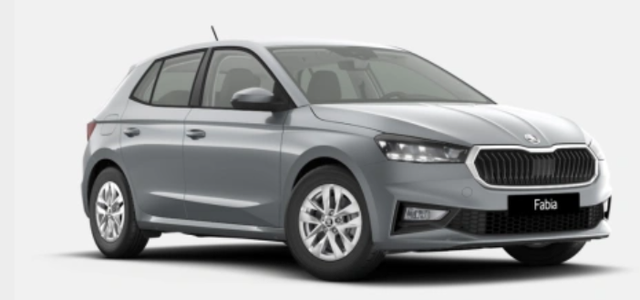 Skoda Fabia - 130 Jahre Premium 1.0 TSI 116 PS DSG, 5Jh.Gar;Winterpaket,Kamera,Alu, Naviapp,