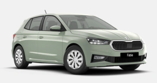 Skoda Fabia - 130 Jahre Premium 1.0 TSI 116 PS DSG, Winterpaket,Kamera,Alu, Naviapp,Tempomat, 5Jh;Gar
