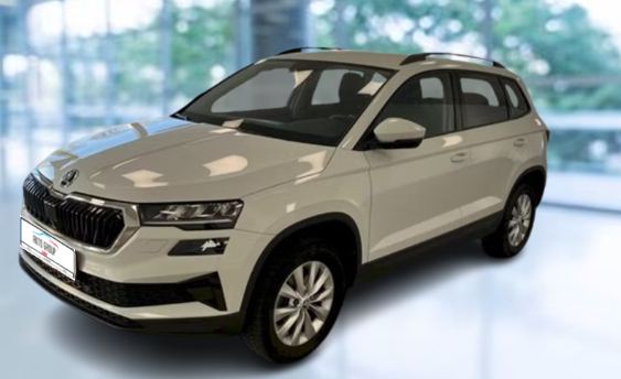 Skoda Karoq - 110kW