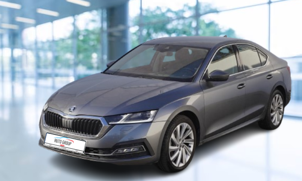 Skoda Octavia - 2.0 TDI 110kW Style DSG