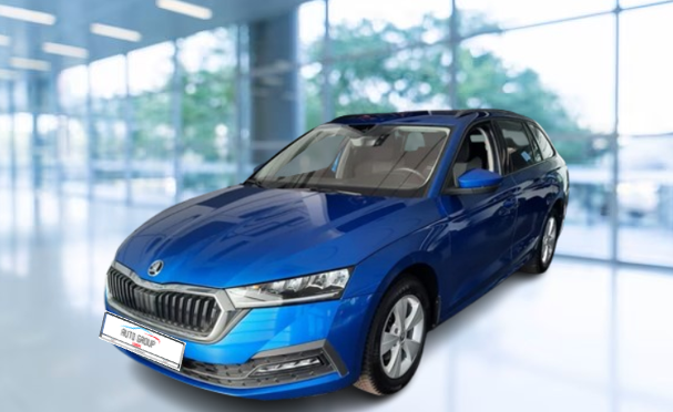 Skoda Octavia Combi - 2.0 TDI 110kW Ambition Plus DSG