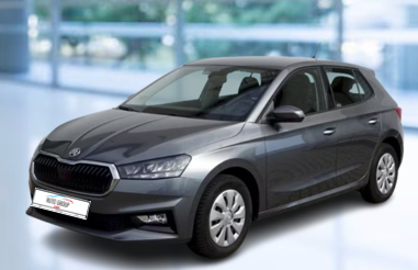 Skoda Fabia - 1.0 MPI 59kW. Selection