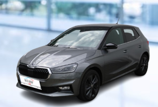 Skoda Fabia 1.5 TSI 110kW Style Plus DSG 