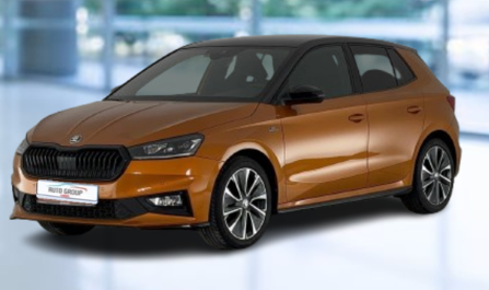Skoda Fabia - 1.0 TSI 81 kW Monte Carlo