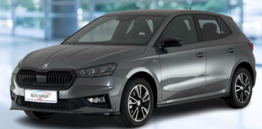 Skoda Fabia - 1.5 TSI 110 kW Monte Carlo DSG