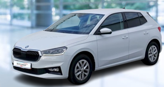 Skoda Fabia - 1.0 TSI 81 KW STYLE