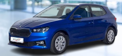 Skoda Fabia - 1.0 TSI 81kW Ambition Plus DSG