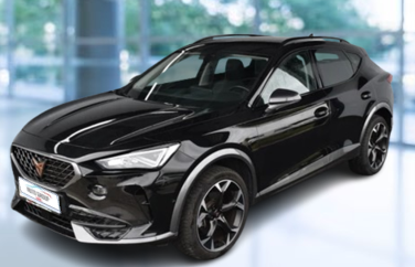 Cupra FORMENTOR - 2.0 TSI 140kW 4X4 DSG