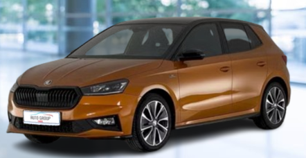 Skoda Fabia - 1.0 TSI 81kW Monte Carlo