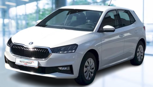 Skoda Fabia - 1.0 MPI 59kW Ambition