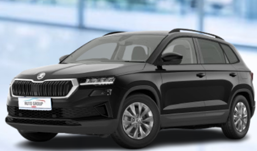 Skoda Karoq - 1.5 TSI 110kW 130 Jahre DSG