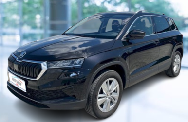 Skoda Karoq - 2.0 TDI 110Kw Selection DSG