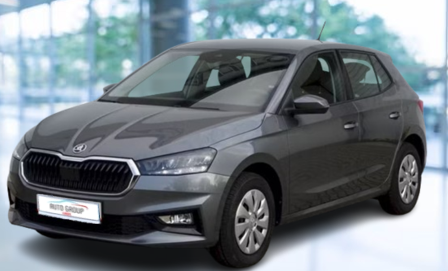 Skoda Fabia - 1.0 TSI 70 kW. Selection