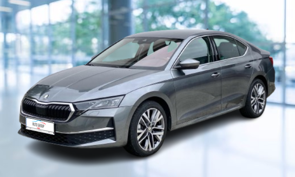 Skoda Octavia - 2.0 TDI 110 kW Top Selection DSG