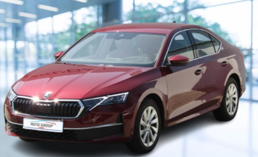 Skoda Octavia - 2.0 TDI 110 kW Top Selection DSG