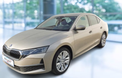 Skoda Octavia - 2,0 TDI 110kW Top Selection DSG