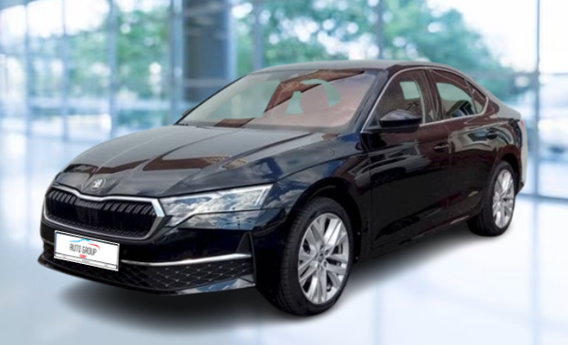 Skoda Octavia - 2.0 TDI 110kW Top Selection DSG