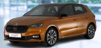 Skoda Fabia - 1.0 TSI 81kW Monte Carlo