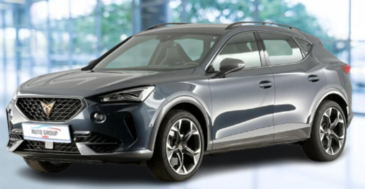 Cupra FORMENTOR 2.0 TSI 228 kW DSG 