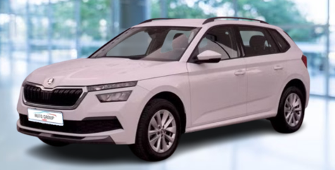 Skoda Kamiq - 1.0 TSI 81 kW Ambition Fresh DSG