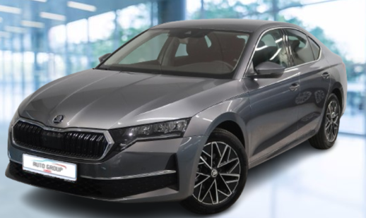 Skoda Octavia - 2.0 TDI 110KW Selection DSG
