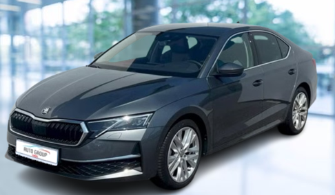 Skoda Octavia - 2.0 TDI 110 kW DSG Top Selection