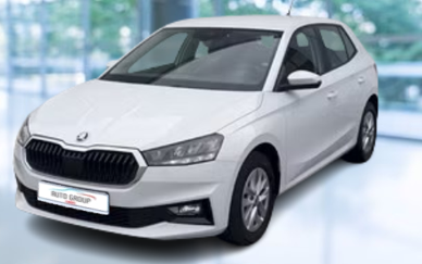 Skoda Fabia 1.0 MPI 59kW Selection 