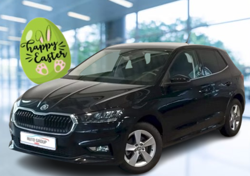 Skoda Fabia 1.0 TSI 85kW Top Selection DSG 