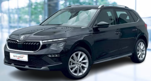 Skoda Kamiq - 1.0 TSI 85kW DSG Top Selection Matrix