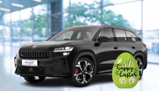 Skoda Kodiaq - 2.0 TSI 195kW RS 4x4 DSG